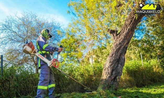 DAVID DE LA PEÑA REFUERZA LIMPIEZA Y MANTENIMIENTO DE ESPACIOS PÚBLICOS EN SANTIAGO