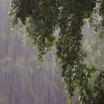 PRONOSTICAN LLUVIAS Y TORMENTAS PARA NUEVO LEÓN ESTE JUEVES