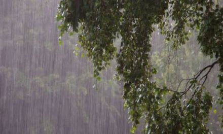 PRONOSTICAN LLUVIAS Y TORMENTAS PARA NUEVO LEÓN ESTE JUEVES