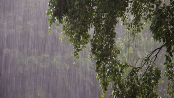 PRONOSTICAN LLUVIAS Y TORMENTAS PARA NUEVO LEÓN ESTE JUEVES