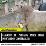 GANADEROS DE CHIHUAHUA EXIGEN FRENAR IMPORTACIÓN DE CARNE BRASILEÑA
