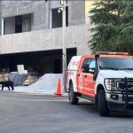 PROTECCIÓN CIVIL ATIENDE MOVILIZACIÓN DE UNA OSA Y SUS CRÍAS EN SAN PEDRO