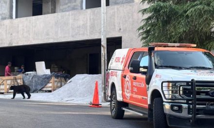 PROTECCIÓN CIVIL ATIENDE MOVILIZACIÓN DE UNA OSA Y SUS CRÍAS EN SAN PEDRO