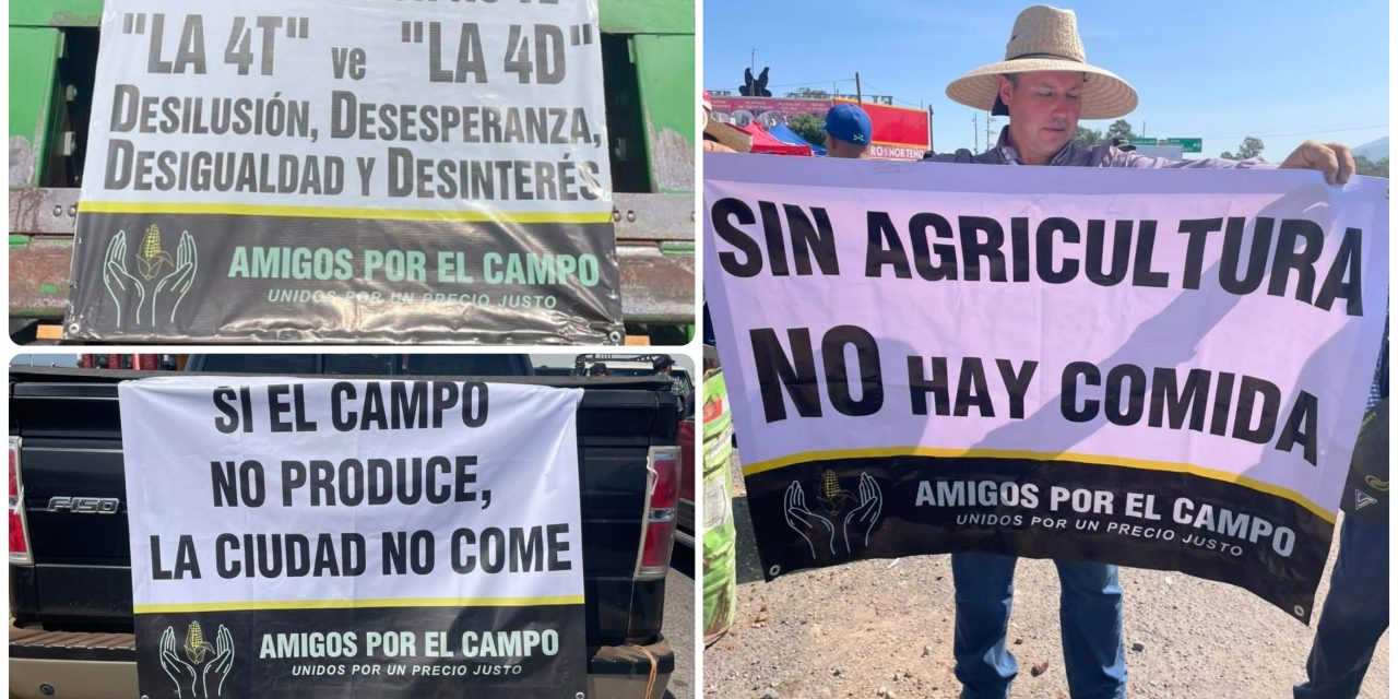 PRODUCTORES DE MAÍZ EXIGEN PRECIO JUSTO Y ADVIERTEN MOVILIZACIONES NACIONALES