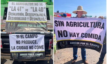 PRODUCTORES DE MAÍZ EXIGEN PRECIO JUSTO Y ADVIERTEN MOVILIZACIONES NACIONALES