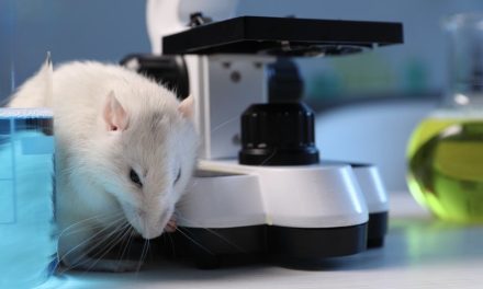 AVANCE HISTÓRICO ABRE NUEVA ESPERANZA CONTRA EL CÁNCER DE PÁNCREAS