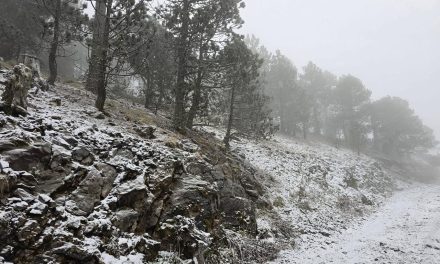 ALERTAN POR POSIBLE NIEVE Y CONGELAMIENTO EN ZONAS ALTAS DE NUEVO LEÓN