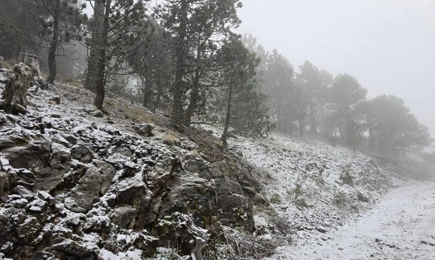 ALERTAN POR POSIBLE NIEVE Y CONGELAMIENTO EN ZONAS ALTAS DE NUEVO LEÓN