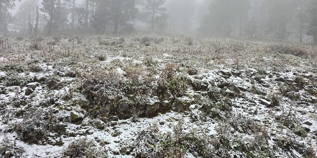 PROTECCIÓN CIVIL DE NUEVO LEÓN REPORTA CAÍDA DE NIEVE EN EL CERRO DEL POTOSÍ