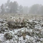 PROTECCIÓN CIVIL DE NUEVO LEÓN REPORTA CAÍDA DE NIEVE EN EL CERRO DEL POTOSÍ