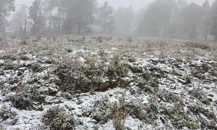 PROTECCIÓN CIVIL DE NUEVO LEÓN REPORTA CAÍDA DE NIEVE EN EL CERRO DEL POTOSÍ