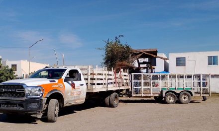 FRANCISCO ESQUIVEL AVANZA EN LA TRANSFORMACIÓN DE PESQUERÍA CON LABORES PERMANENTES DE SERVICIOS PRIMARIOS