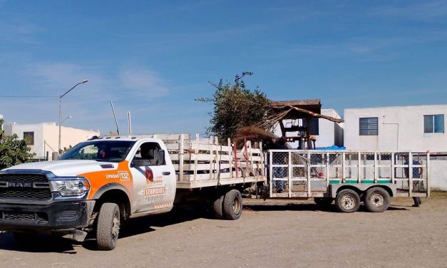 FRANCISCO ESQUIVEL AVANZA EN LA TRANSFORMACIÓN DE PESQUERÍA CON LABORES PERMANENTES DE SERVICIOS PRIMARIOS