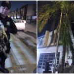 PROXPOL RESCATA A GATO ATRAPADO Y LO DEVUELVE A SU FAMILIA