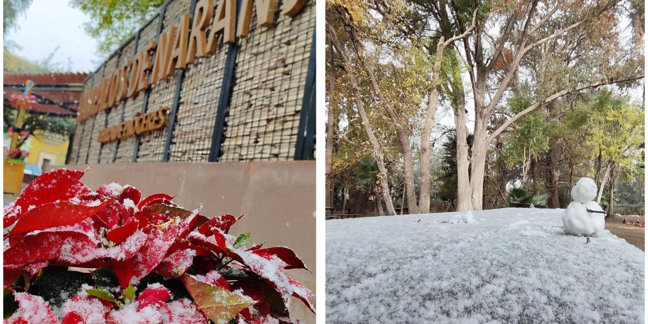 ADRIANA MARTÍNEZ INFORMA SOBRE NEVADA QUE MARCA EL DOMINGO EN LAMPAZOS