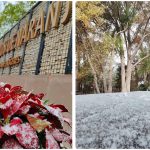 ADRIANA MARTÍNEZ INFORMA SOBRE NEVADA QUE MARCA EL DOMINGO EN LAMPAZOS