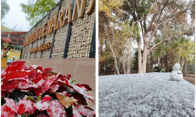 ADRIANA MARTÍNEZ INFORMA SOBRE NEVADA QUE MARCA EL DOMINGO EN LAMPAZOS