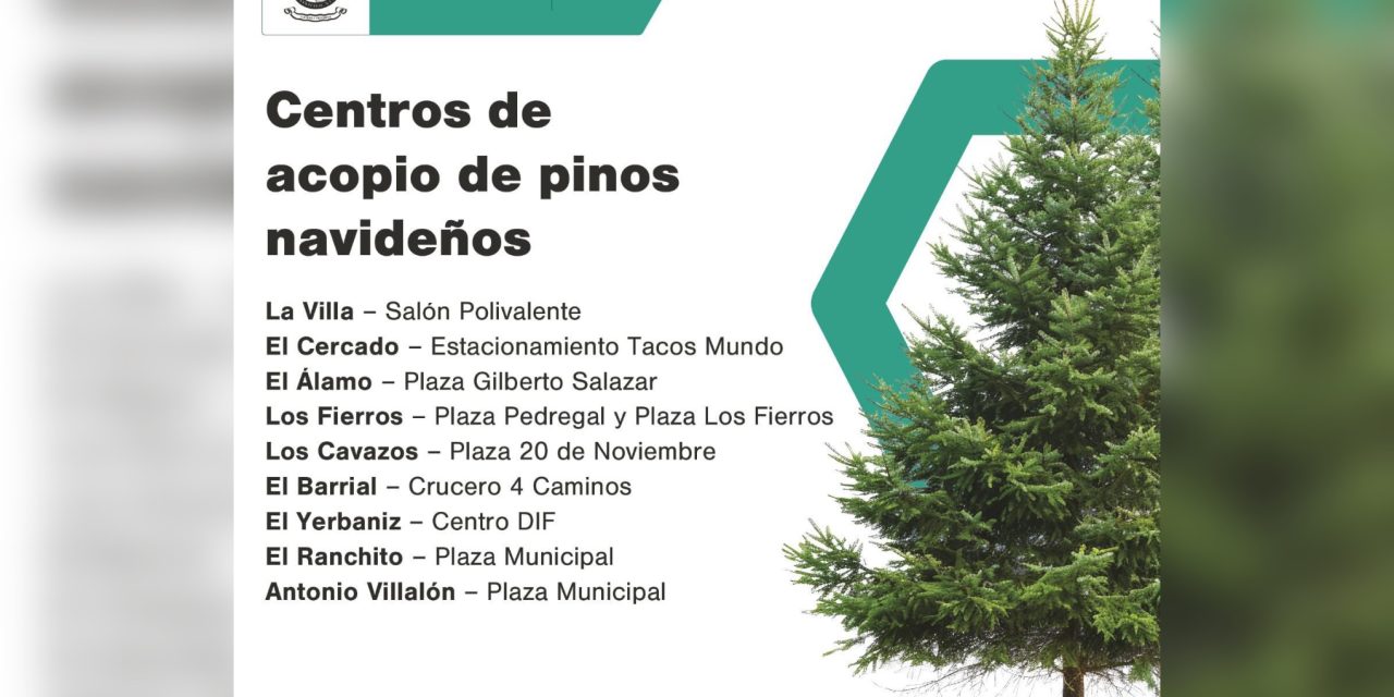 DAVID DE LA PEÑA MARROQUÍN HABILITA CENTROS PARA CONFINAR PINOS NAVIDEÑOS EN SANTIAGO