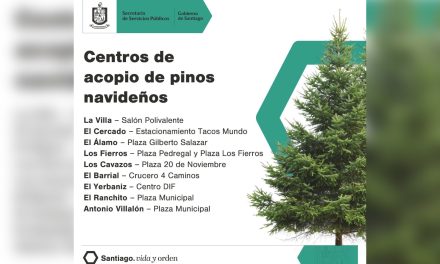 DAVID DE LA PEÑA MARROQUÍN HABILITA CENTROS PARA CONFINAR PINOS NAVIDEÑOS EN SANTIAGO