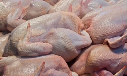 MÉXICO ANALIZA RESTRICCIÓN A IMPORTACIONES DE POLLO POR IMPACTO EN PRODUCTORES NACIONALES