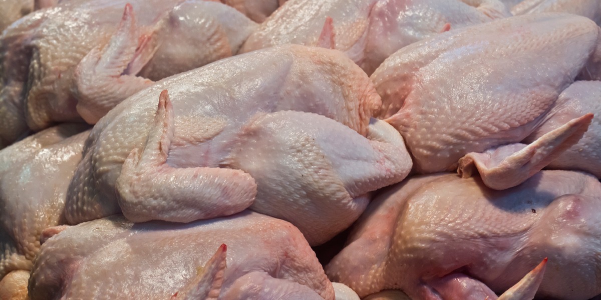 MÉXICO ANALIZA RESTRICCIÓN A IMPORTACIONES DE POLLO POR IMPACTO EN PRODUCTORES NACIONALES