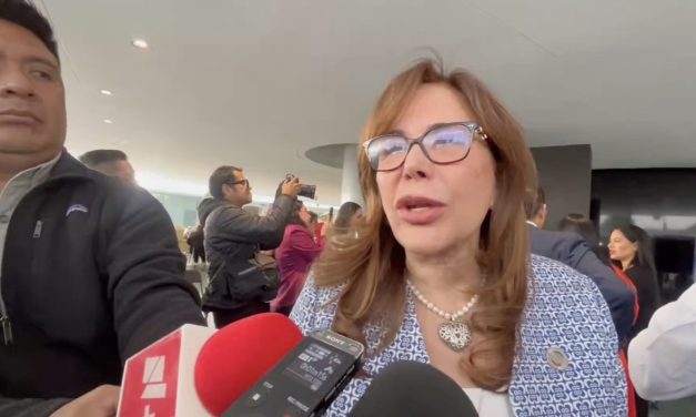 YEIDCKOL POLEVNSKY VE POCO REALISTA LA PROPUESTA ELECTORAL