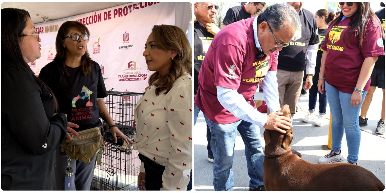 ANDRÉS MIJES Y YESI DE MIJES COLOCAN EL CUIDADO ANIMAL EN LA AGENDA LOCAL