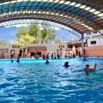JESÚS NAVA RIVERA ANUNCIA APERTURA DE ALBERCAS Y CLASES DE NATACIÓN PARA FAMILIAS