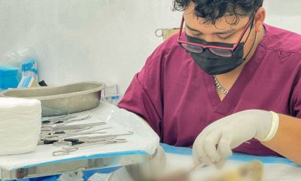 JESÚS NAVA PROMUEVE EL CUIDADO RESPONSABLE DE MASCOTAS CON ESTERILIZACIONES SIN COSTO