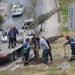 MAURICIO FARAH REFUERZA PULMONES URBANOS CON JORNADA DE ARBORIZACIÓN