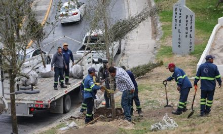 MAURICIO FARAH REFUERZA PULMONES URBANOS CON JORNADA DE ARBORIZACIÓN