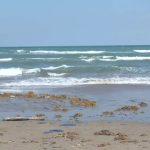 ORGANIZACIONES DE LA SOCIEDAD CIVIL CONVOCAN A DONAR CABELLO PARA LIMPIAR DERRAME DE HIDROCARBURO EN EL GOLFO DE MÉXICO