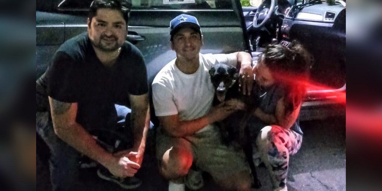 ERIK SOLHEIM ROCHA ANUNCIA QUE ZACK YA ESTÁ EN CASA