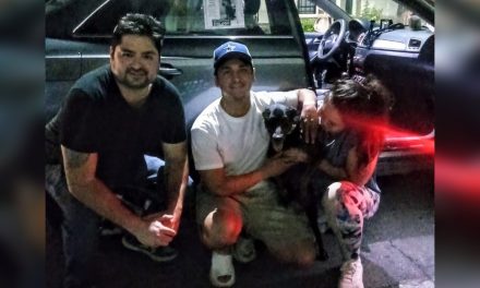 ERIK SOLHEIM ROCHA ANUNCIA QUE ZACK YA ESTÁ EN CASA