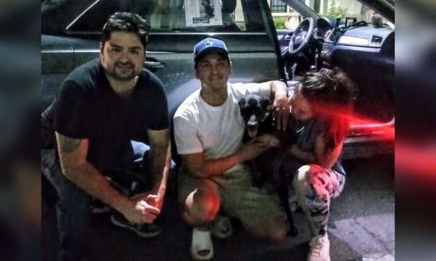 ERIK SOLHEIM ROCHA ANUNCIA QUE ZACK YA ESTÁ EN CASA