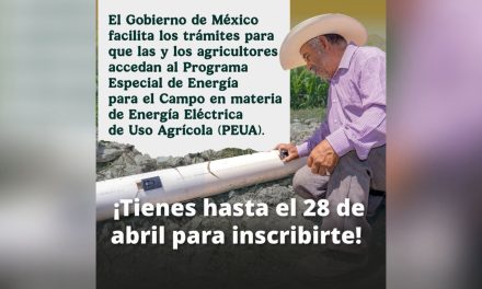 MIGUEL ÁNGEL SALAZAR PROMUEVE SUBSIDIO DE HASTA 95% EN ENERGÍA PARA PRODUCTORES AGRÍCOLAS