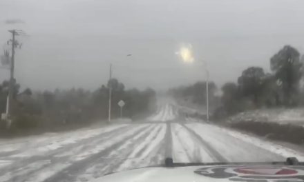 LE LLUEVE A LA ZONA CITRÍCOLA DE NUEVO LEÓN