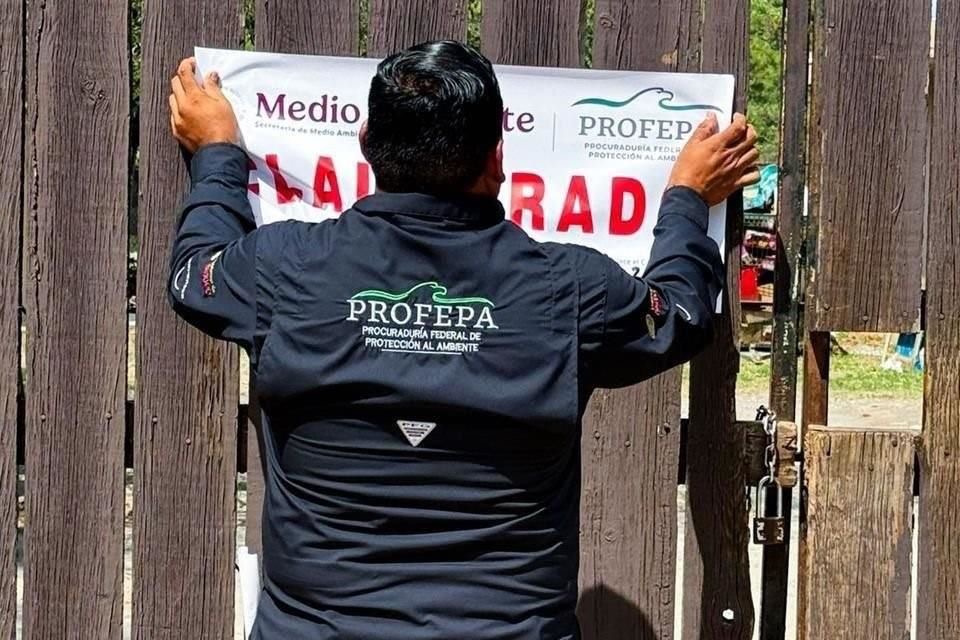 ¡SE ACABÓ LA TOLERANCIA, PROFEPA PODRÁ INVESTIGAR Y PERSEGUIR DELITOS AMBIENTALES