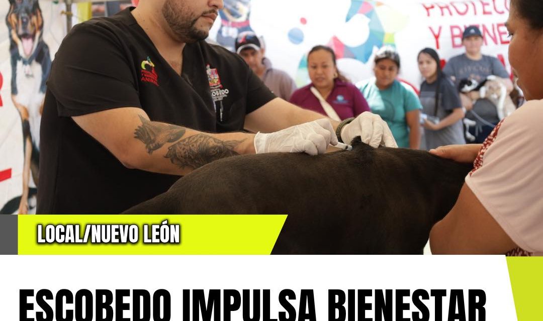 ESCOBEDO IMPULSA BIENESTAR ANIMAL CON BRIGADA GRATUITA EN PALMIRAS