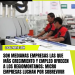 SON MEDIANAS EMPRESAS LAS QUE MÁS CRECIMIENTO Y EMPLEO OFRECEN A LOS REGIOMONTANOS; MICRO EMPRESAS LUCHAN POR SOBREVIVIR