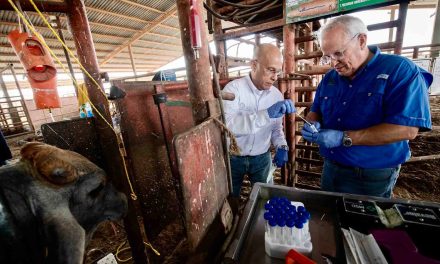 UANL ENCABEZA HALLAZGO INTERNACIONAL: DETECTAN INFLUENZA D Y NUEVO CORONAVIRUS EN GANADO DE NUEVO LEÓN