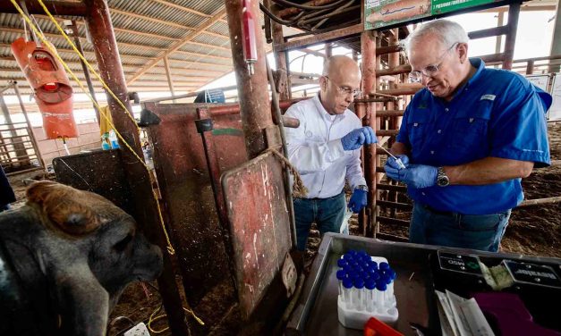 UANL ENCABEZA HALLAZGO INTERNACIONAL: DETECTAN INFLUENZA D Y NUEVO CORONAVIRUS EN GANADO DE NUEVO LEÓN