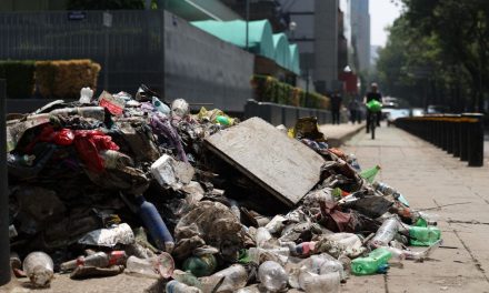 FIESTA DEL TRI DEJA 40 TONELADAS DE BASURA EN EL ZÓCALO Y PASEO DE LA REFORMA