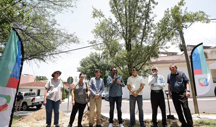 MAURICIO FARAH ENCABEZA DÍA DEL ÁRBOL EN SAN PEDRO CON SIEMBRA DE ENCINOS DE GRAN PORTE DEL PROGRAMA “GIGANTES VERDES”