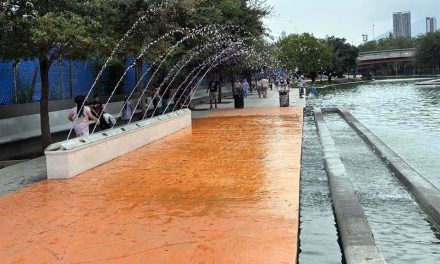 PROMUEVEN CONSULTA CIUDADANA CONTRA EL “REPINTADO” PARTIDISTA EN CADA CAMBIO DE GOBIERNO