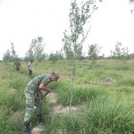 EJÉRCITO IMPULSA LA RECUPERACIÓN ECOLÓGICA EN DOCTOR ARROYO CON 2,500 ÁRBOLES