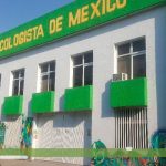 POR FALTA DE FIRMA, EL PVEM PIERDE BATALLA LEGAL CONTRA SOMOS MÉXICO