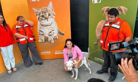 MÓNICA OYERVIDES IMPULSA CULTURA DE PROTECCIÓN ANIMAL CON JORNADA DEJANDO HUELLA EN JUÁREZ