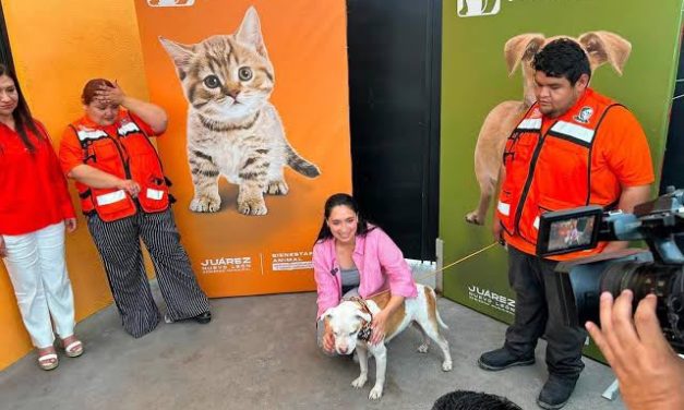 MÓNICA OYERVIDES IMPULSA CULTURA DE PROTECCIÓN ANIMAL CON JORNADA DEJANDO HUELLA EN JUÁREZ