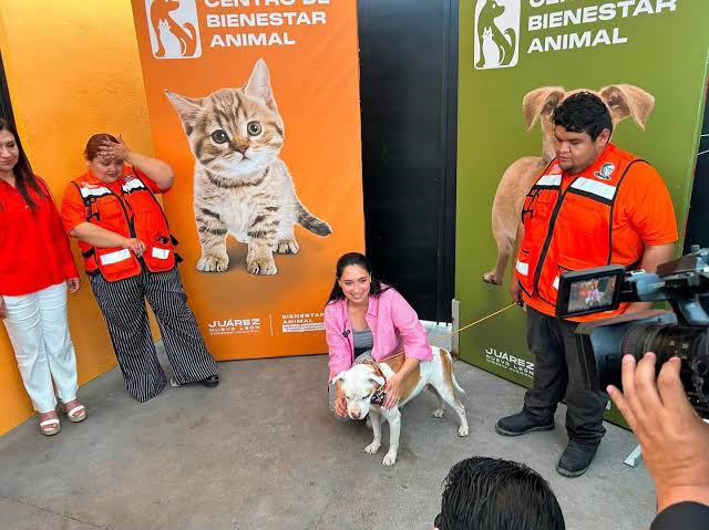 MÓNICA OYERVIDES IMPULSA CULTURA DE PROTECCIÓN ANIMAL CON JORNADA DEJANDO HUELLA EN JUÁREZ